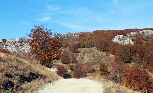 Kalksteinsfjell nær Kalkovnen i Podeni.