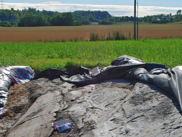 Bergkunstfeltet Hoppestad 2 på en lav åkerholme i Gjerpensdalen. De siste 12-13 årene har feltet vært dekket med duker og gummimatter for å holde forvitringen i sjakk. Foto: P. Storemyr