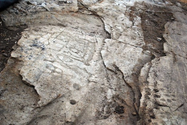 Bergkunstfeltet Hoppestad 2. Ganske godt bevart, men forvitringen spiser seg inn mot skipsfigurene. Foto: P. Storemyr