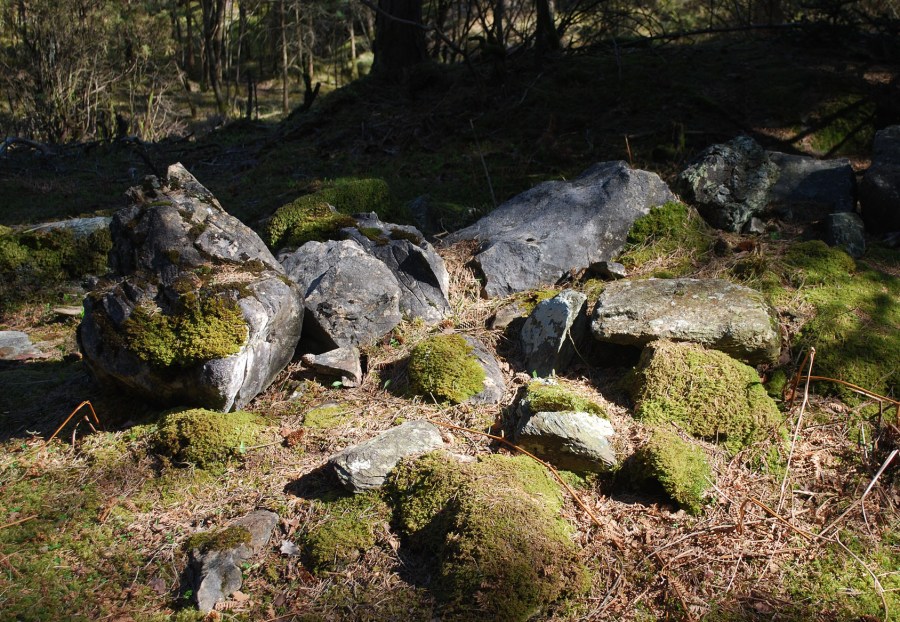 Marmor med rester av ildpåvirkning ved kalkmila/Gassasundet. Foto: Per Storemyr 2022