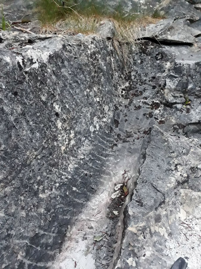 Mosterhamn: Hoggekanal for uttak av marmor i en kant av hva som tidligere ble kalt "Fællesbrud". Kanalen kan være svært gammel, kanskje fra middelalderen. Foto: Per Storemyr 2022