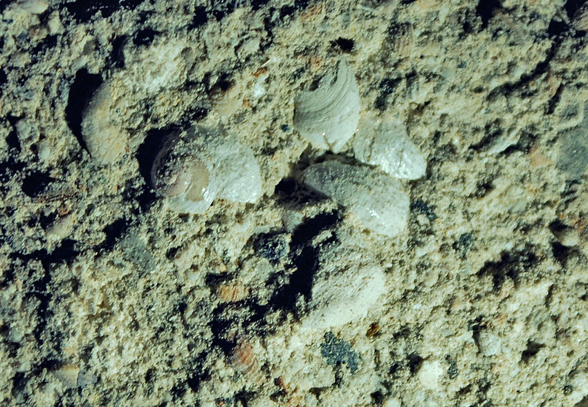 Moster gamle kirke, korets gavl, med skjellsand som tilslag i murmørtelen fra middelalderen. Foto: Per Storemyr 2022