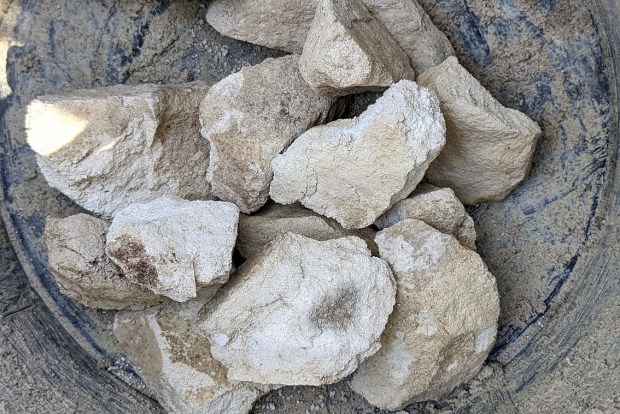 Ganske hvit, ferdig brent Brevikkalk, med en liten, grå "kjerne" som viser at den her ikke er helt gjennombrent