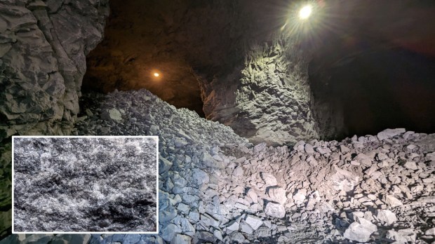 Brevikkalk fra deponi langt nede i gruvene til Brevik sementfabrikk. Det lille bildet viser den ganske homogene kalken