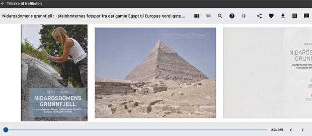 Nidarosdomens grunnfjell som digibok i Nasjonalbiblioteket