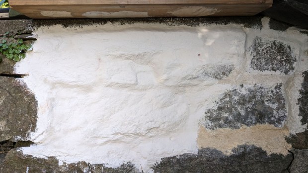 Et av testfeltene våre med flere kalktyper, Brevikkalk er blant dem – og hvittingen er med Brevikkalk.