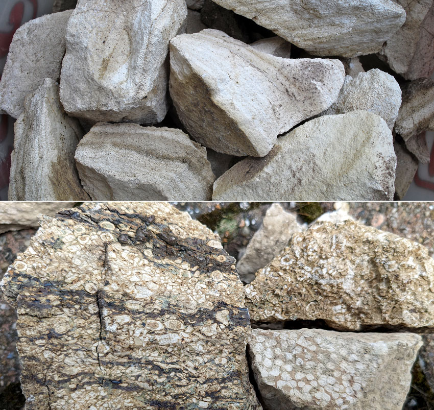 Figur 10: Forskjellen mellom stykkalk (brent kalk) brent fra temmelig ren marmor (over) og ganske uren kalkstein med masse fossiler (under). Her ser en brent Mostermarmor og brent kalkstein fra Grenland. Marmoren gir hvit, sub-hydraulisk mørtel, kun med en beige teint, kalksteinen en svakt til middels hydraulisk mørtel med svakt lysebrun farge. Foto: Per Storemyr