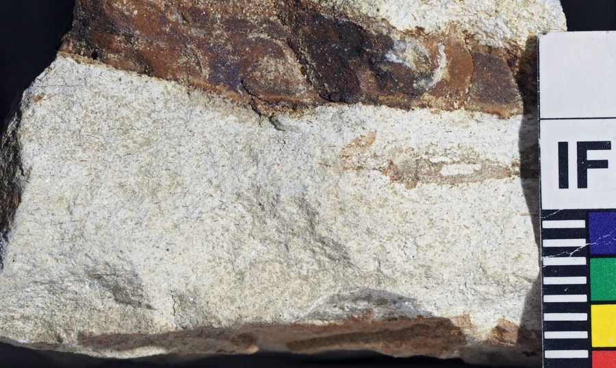 Brent Brevikkalk med tynt lag av hornfels (mm-skala).