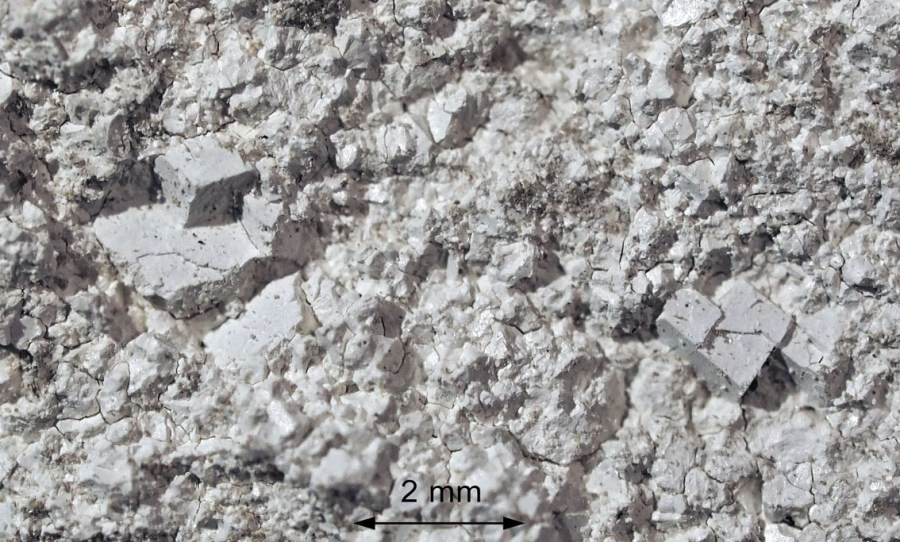 Makrobilde av brent Brevikkalk med tydelige "avtrykk" etter kalkspatkrystaller.