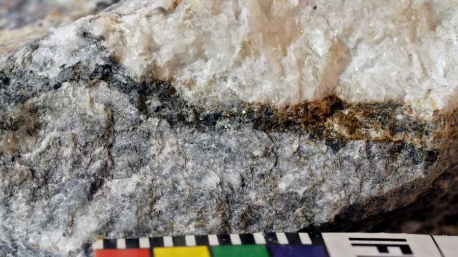Brevikkalk med grovkornet åre av hvit marmor og et tynt, mørkt lag av hornfels (mm-skala)