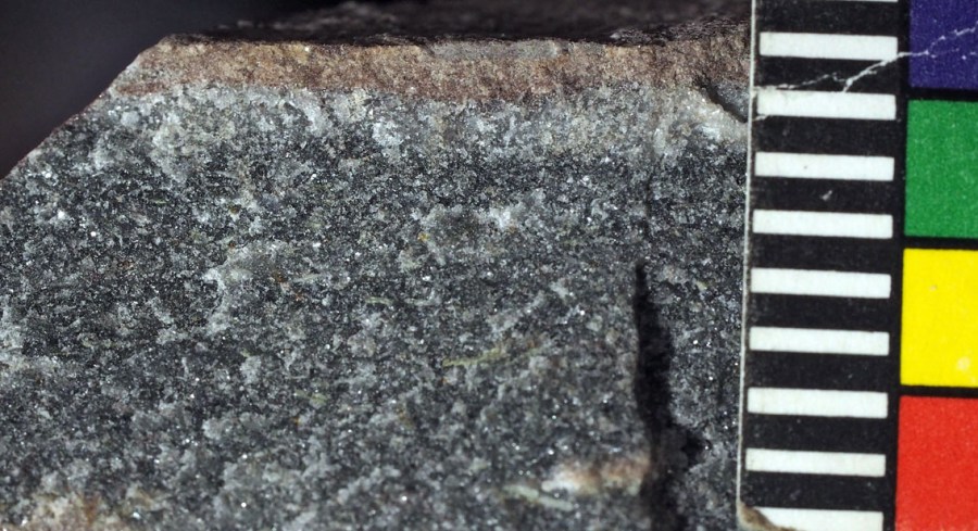 Nærbilde av Brevikkalk. Fossiler er ikke synlige fordi kontaktmetamorfosen har vært så sterkt at steinen har blitt en marmor. Tynt lag av hornfels øverst (mm-skala)