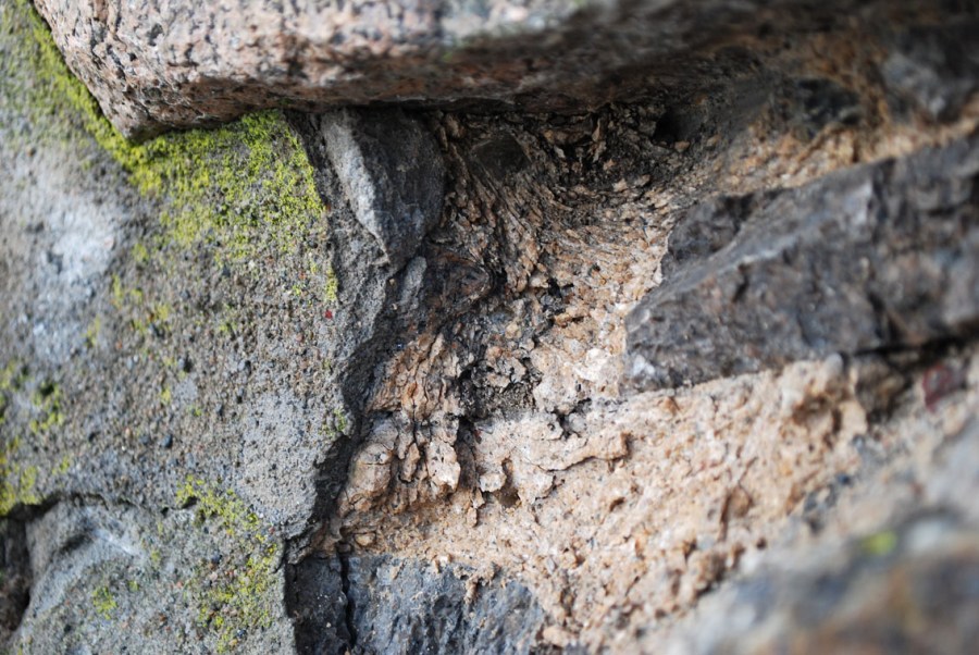 Hedrum kirke: Hard og sterkt frostsprengt middelaldermørtel på skipets sørside, bak moderne sementmørtel. Foto: Per Storemyr
