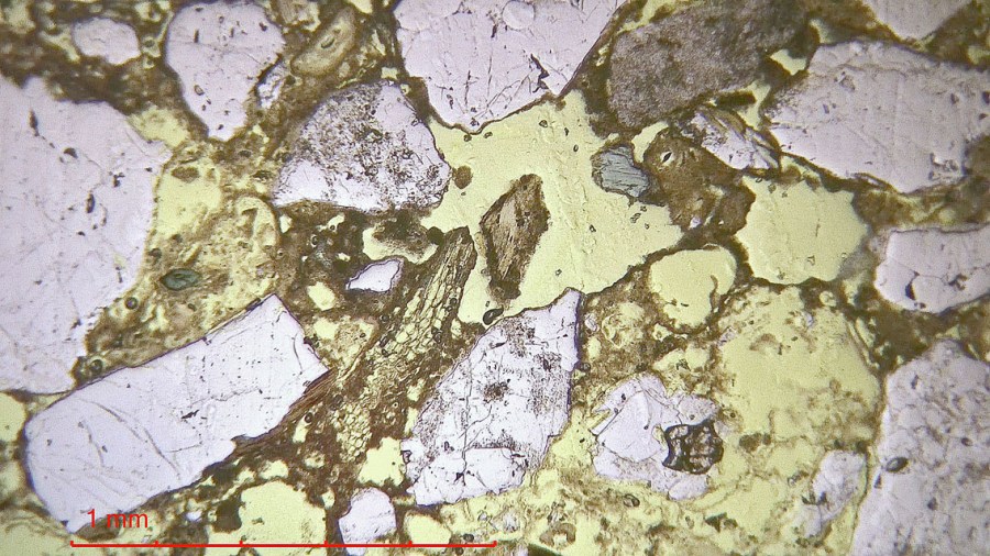 Tingvoll kirke: Mikrobvilde av mørtel fra innvendig vegg for gangsystem i skipet. Mørtelen er svært oppløst av fukt og det er nesten bare tilslagskorn (lyse) og porer (gule) igjen. Planpolarisert lys. Foto: Per Storemyr