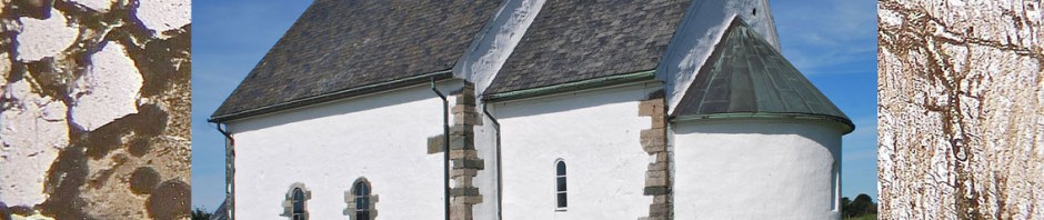 Talgje kirke i Rogaland. Med mikroskopbilde av mørtelen som ble brukt i middelalderen. Foto: Per Storemyr