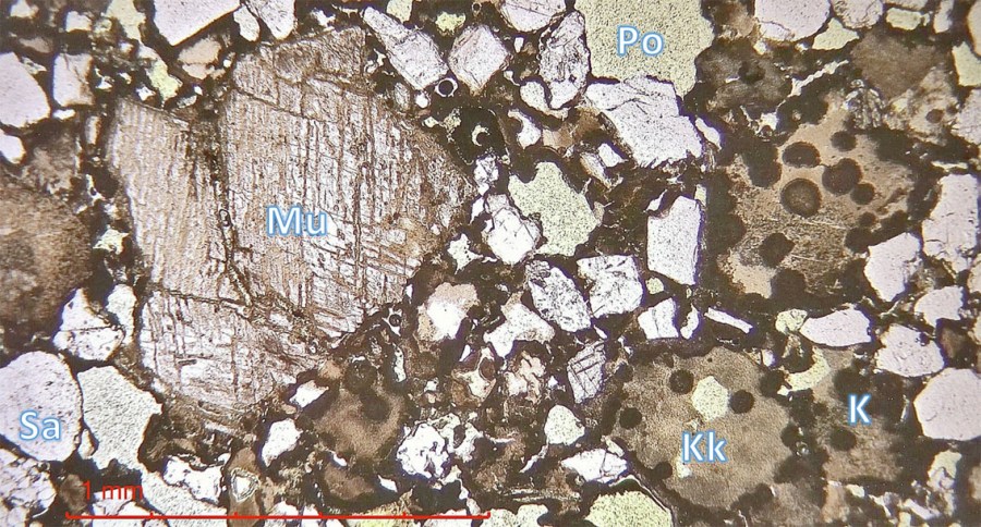 Talgje kirke: Mikrobilde av dolomittisk kalkmørtel fra gavlen mellom kor og apsis. De brune render og sirkler er magnesium-rike partier i bindemiddelet. Mu=underbrent, dolomittisk marmorkorn. Kk=kalkkorn. Sa=sand. Po=pore. Planpolarisert lys. Foto: Per Storemyr