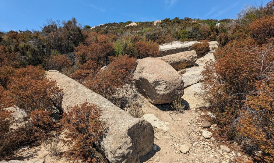 Abandoned near-finished columns in the quarry landscape above Cavoli. Photo by Per Storemyr