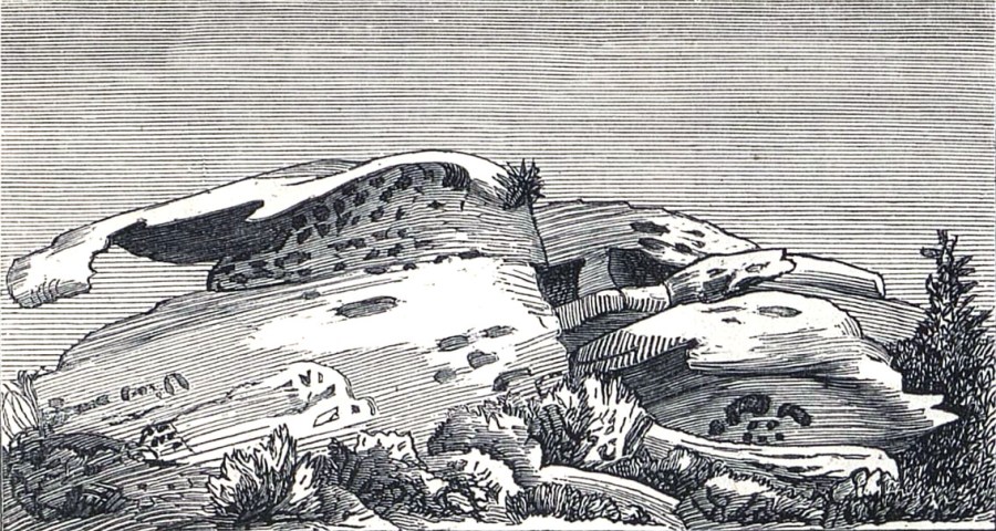 Tafoni in schist on Corsica, drawn by the Norwegian geologist Hans H. Reusch on a travel i 1876. From Reusch 1879