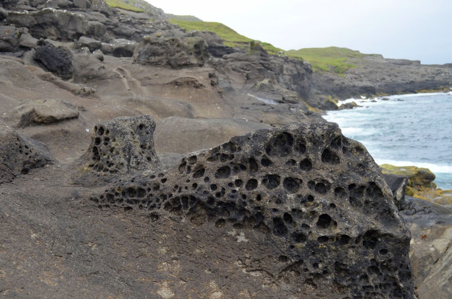 Tafoni in porous basalt by Kyrberg near Torshavn on the Faroe Islands. Photo by Per Storemyr