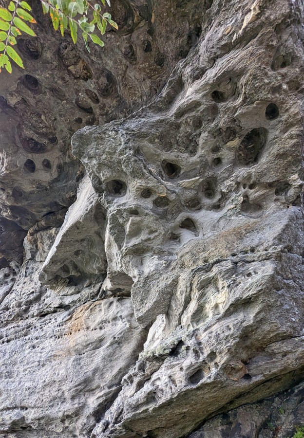 Tafoni in mylonitic gneiss, Fjøløy by Stavanger, S-Norway. Photo by Per Storemyr