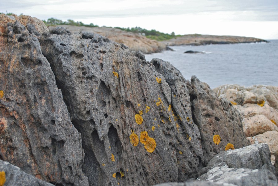 Tafoni in Proterozoic amphibolitic gneiss, Tromøy by Arendal, Norway. Photo by Per Storemyr