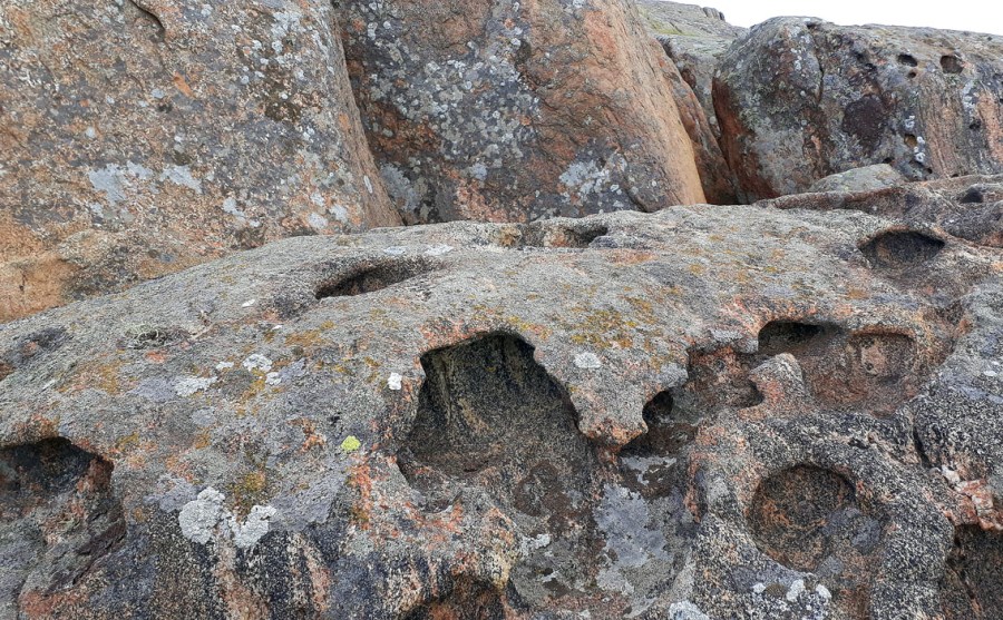 Tafoni i Proterozoic gneiss, Mærdø by Arendal, Norway. Photo by Per Storemyr