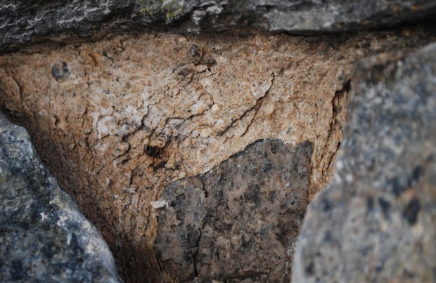 Medieval, hard and heavily spalled mortar from the nave of Hedrum church. Photo by Per Storemyr