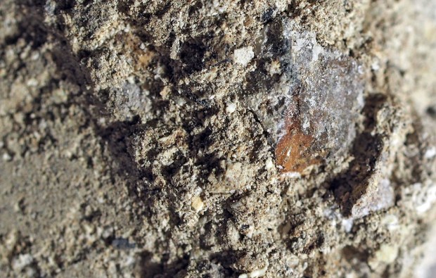 Knollekalkmørtel med rødbrunt fragment