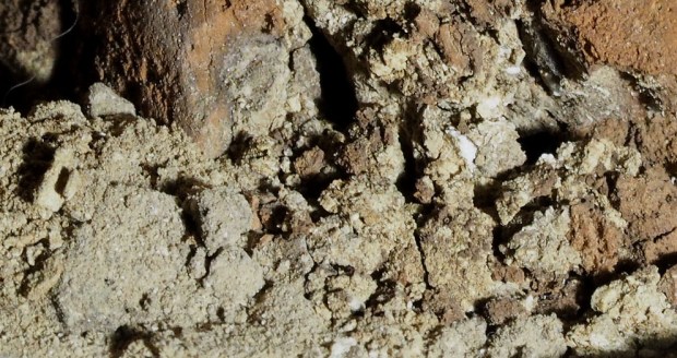 Tørrlesket, brent knollekalk