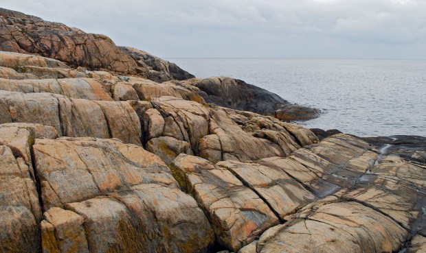 Rød forvitringshud på gneis, ytterkysten av Tromøya. Merk avflaking av overflaten. Foto: PS