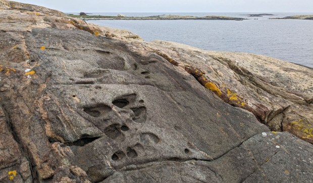 Tafoni på svakt hellende amfibolittåre. Bjelland, Tromøy. Foto: PS