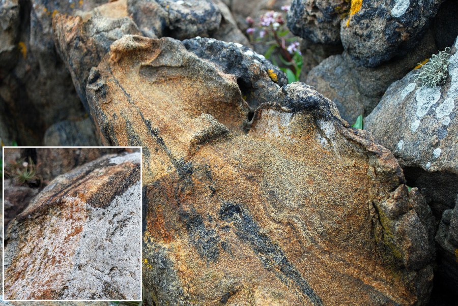 Forvitret amfibolitt med kismineraler, i fjæresonen på Spornes. Det er likevel havsalt (halitt) som fra tid til annen dekker det forvitrede området (innfelt). Halitt bestemt med mikroskopi. Foto: PS