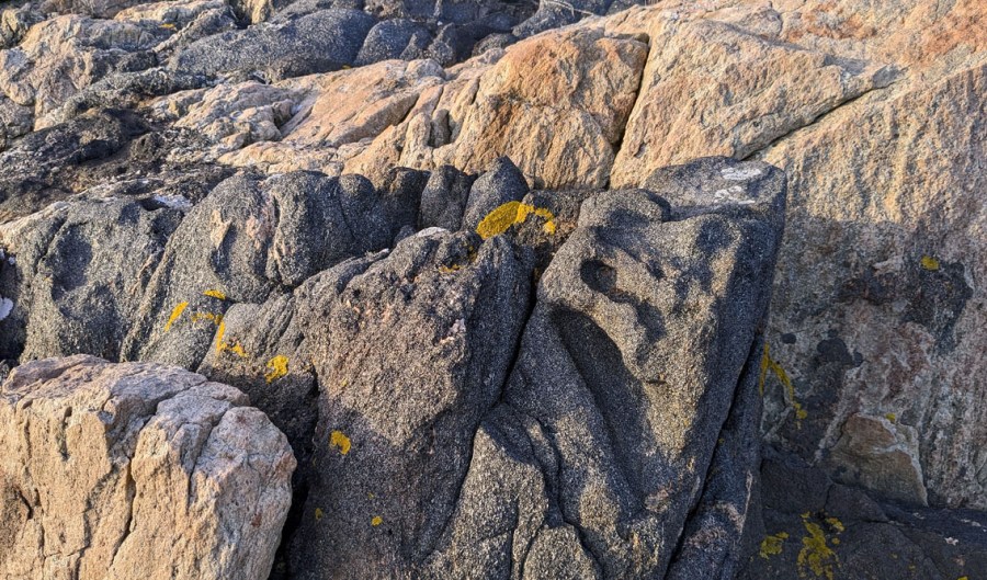 Tafoni i oppsprukket amfibolittåre. Etter hvert vil åren forsvinne av forvitringen og det er nå ingen tegn til at tafoni vil dannes i den hardere gneisen bak. Gitmartangen. Foto: PS