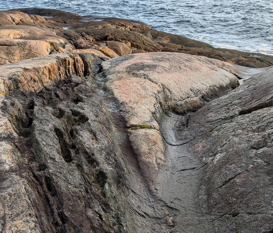 Litt uklar tafoni som bidrar til forvitringen og sprekkeutvidelsen i en amfibolittåre ved siden av en spylerenne i lysere gneis. Gitmartangen. Foto: PS