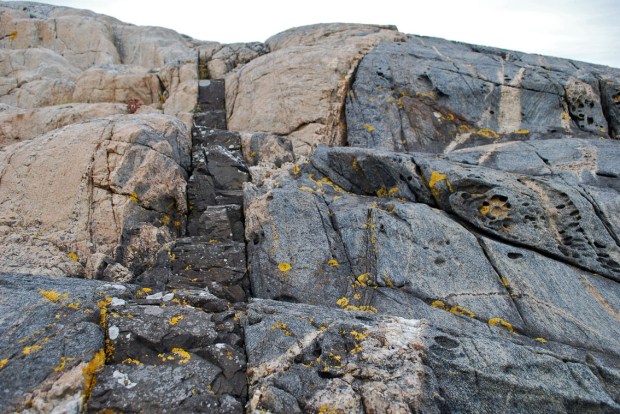 Tonalittisk gneis (lys) og amfibolitt (mørk), gjennomskåret av permisk diabasgang. Spornes.