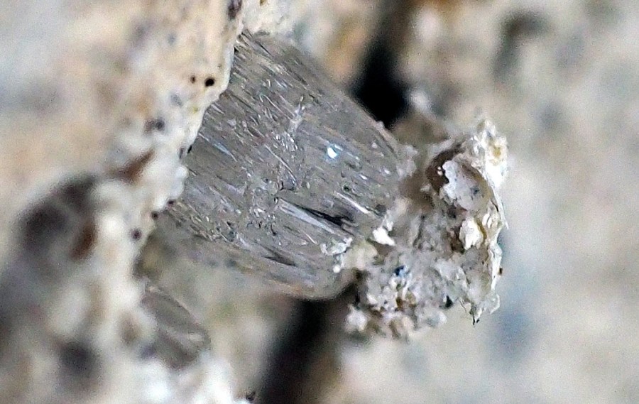 Whiskerkrystall av is, mindre enn 2 mm, bryter løs et fragment av kalkmørtel i fuge. Dette er en mur i egen hage og jeg har observert tilsvarende 2-3 ganger i løpet av halvannen vinter. Foto: PS