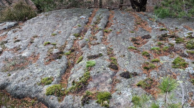 Typisk småskala pseudokarren/selektiv forvitring i båndet gneis uten sprekker. Vardåsen på Tromøy. Foto: PS