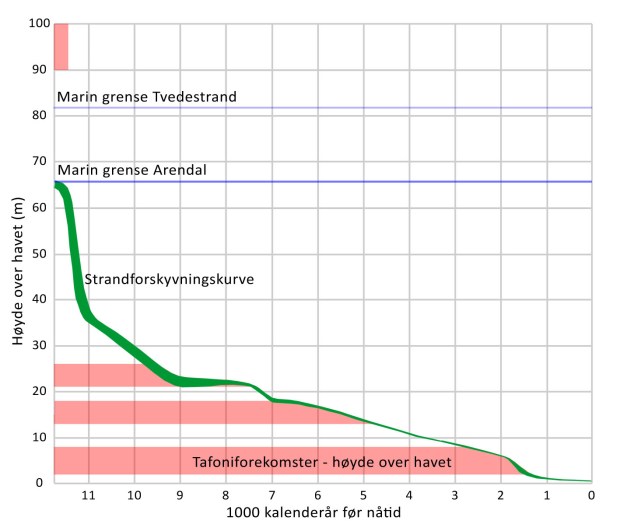 Strandforskyvningskurve for arendalsområdet med høydene på observert tafoni inntegnet. Kurven er bearbeidet fra Romundset (2018). Den betydelig høyere MG for tvedestrandsområdet er også markert.