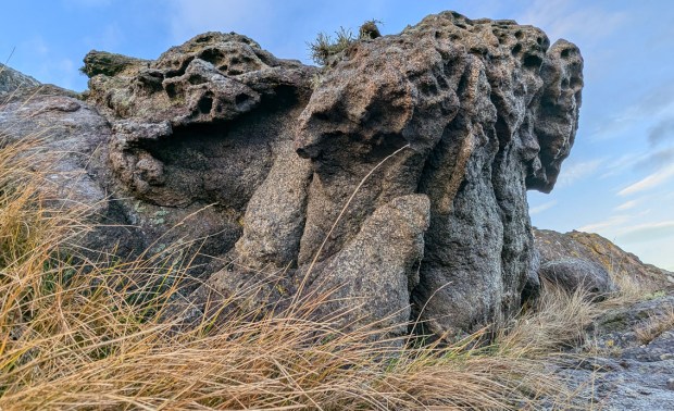 Bissare tafoniformer på Nautholmen. Høyden på formasjonen er ca. 1 m. Foto: PS