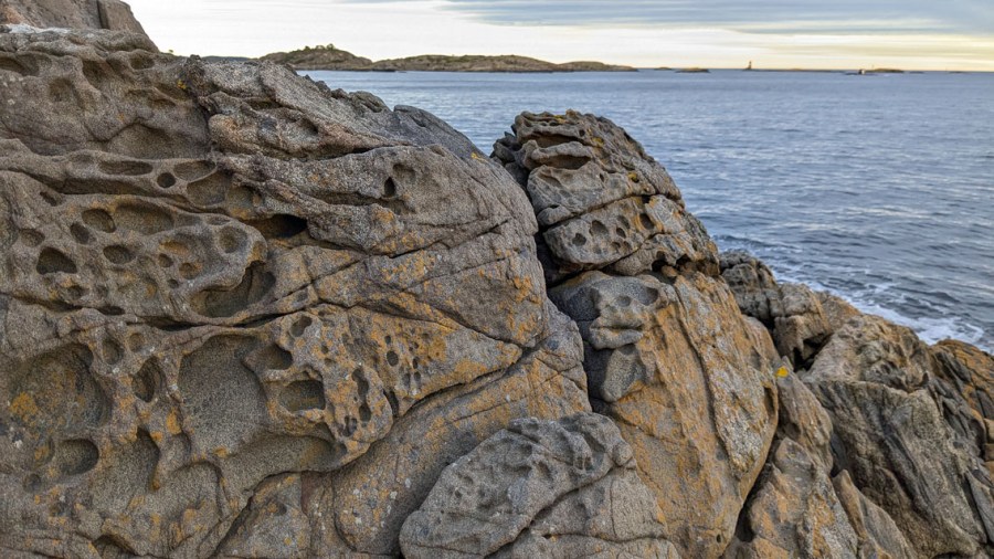 Uregelmessige honeycombs på langs av foliasjonen i metadiabas. Nautholmen, Flosta. Foto: PS