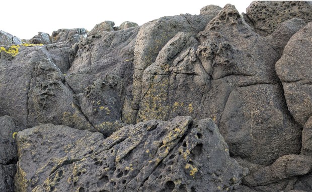 Honeycomb-lignende tafoni bidrar til avrunding av bergformasjonene på Nautholmen. Foto: PS