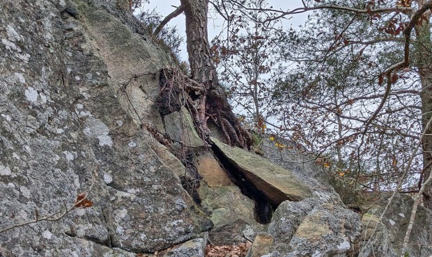 Rotsprengning i en brattkant i skogen på Tromøya. Foto: PS