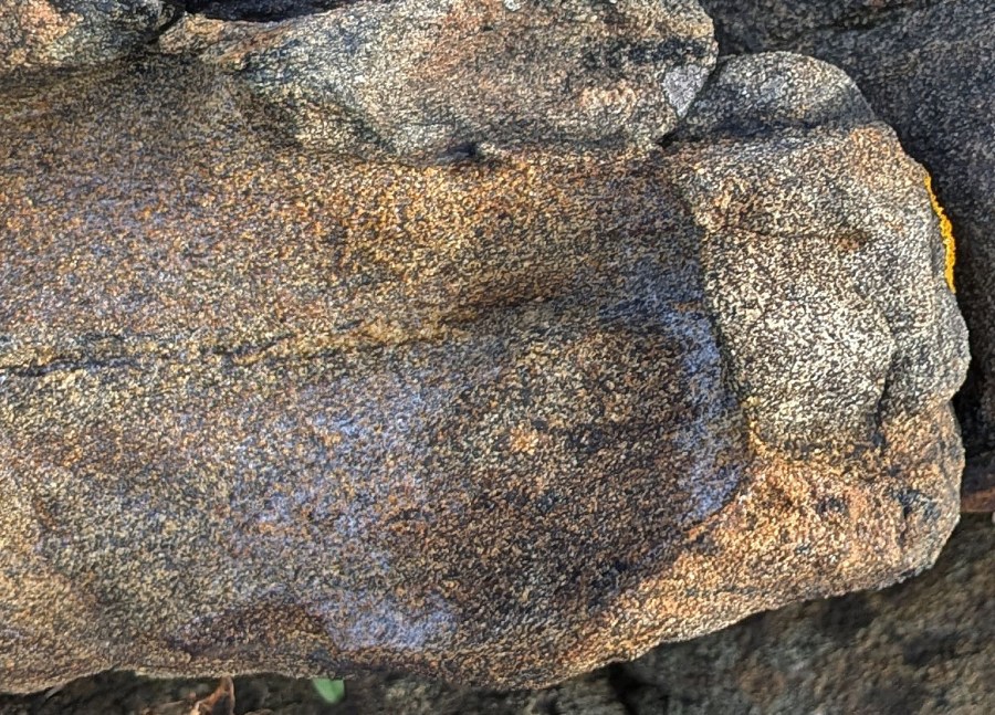 Saltslør (halitt) i åpen tafoniform, Spornes. Bildebredde ca. 10 cm