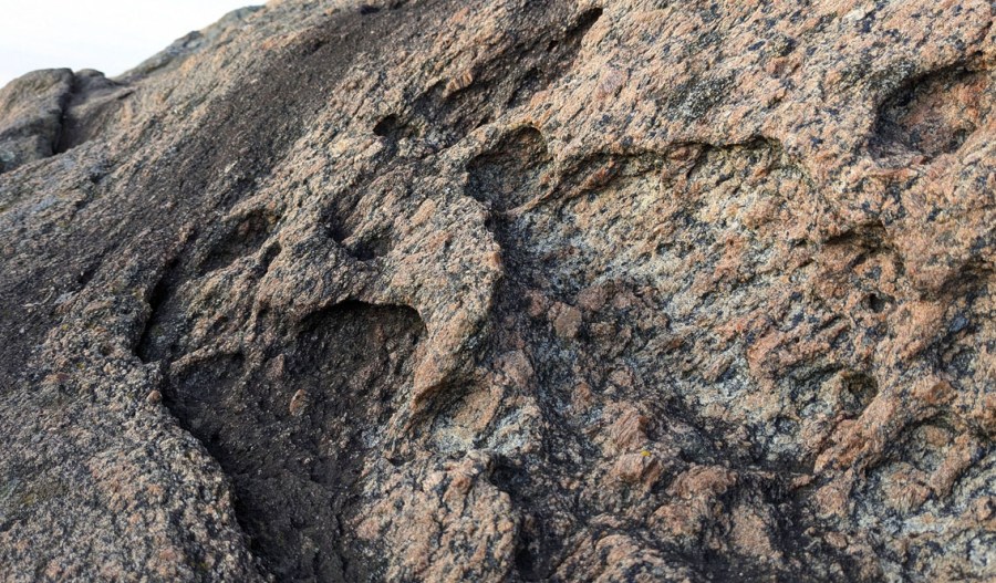 Tafoni i grov gneis på Sildodden sør for Risør. Foto: PS