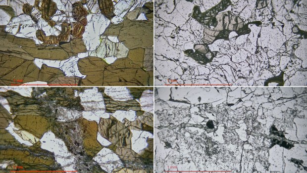 Mikrofotos, PPL, bergarter Spornes, Tromøy. Venstre: Amfibolitt med omvandlingsfenomener i pyroksen (over, oppe) og amfibol/plagioklas (under). Høyre: Tonalittisk gneis med granat (lysebrun) og omvandlet pyroksen (over), omvandlingsfenomener i plagioklas og riss med sekundære mineraler (under). Foto: PS