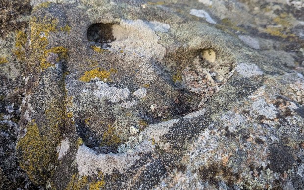 Tafoni under lav på Spornes, ca. 14 m.o.h. Foto: PS