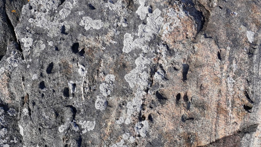 Ytterkysten Tromøya: Småskala tafoni i tilnærmet flatt berg. Foto: PS