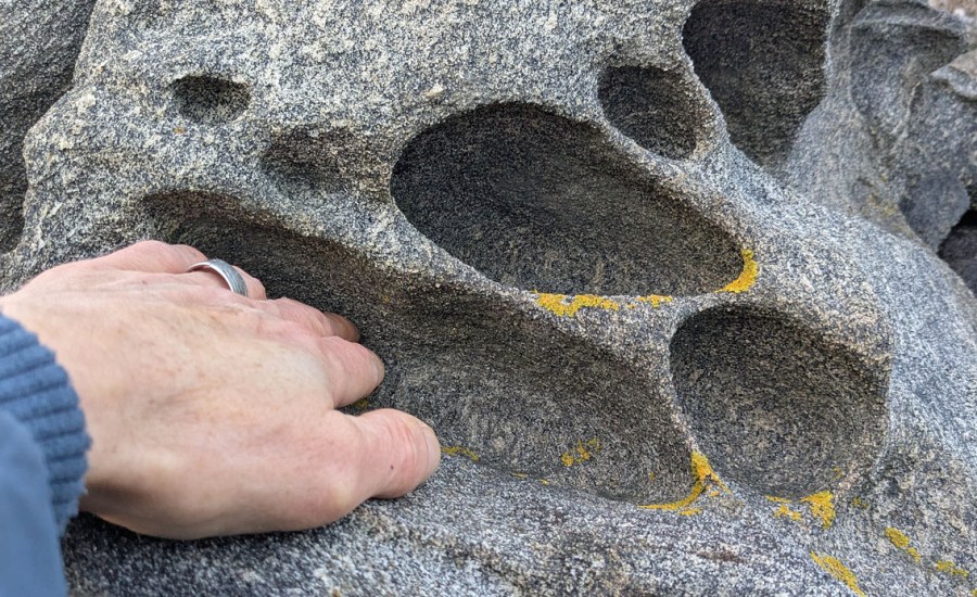 Ytterkysten Tromøya: Avlange, opp til ca. 20 cm brede tafonihull. Foto: PS