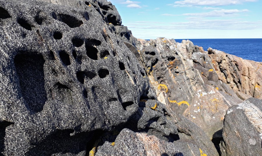 Ytterkysten Tromøya: Tafoni i amfibolitt. Foto: PS