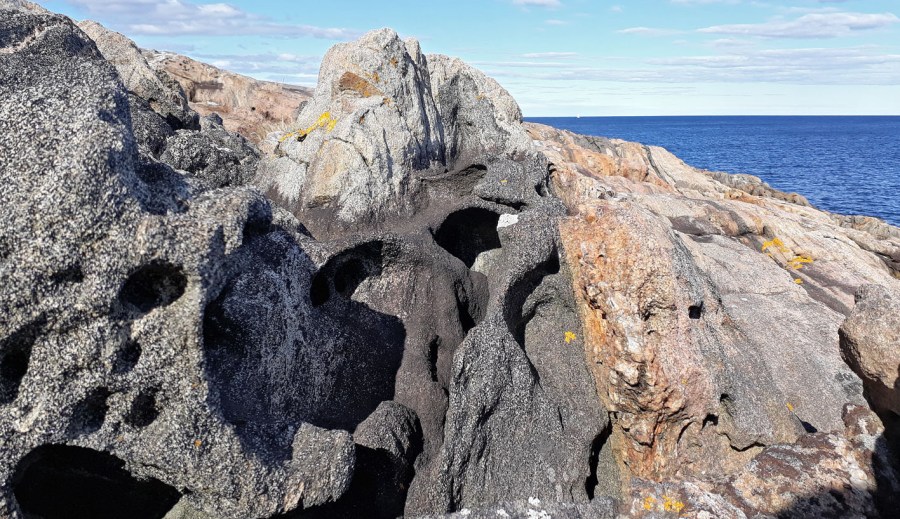 Ytterkysten Tromøya: Mye tafoni i amfibolitt, litt i gneisen rundt. Foto: PS