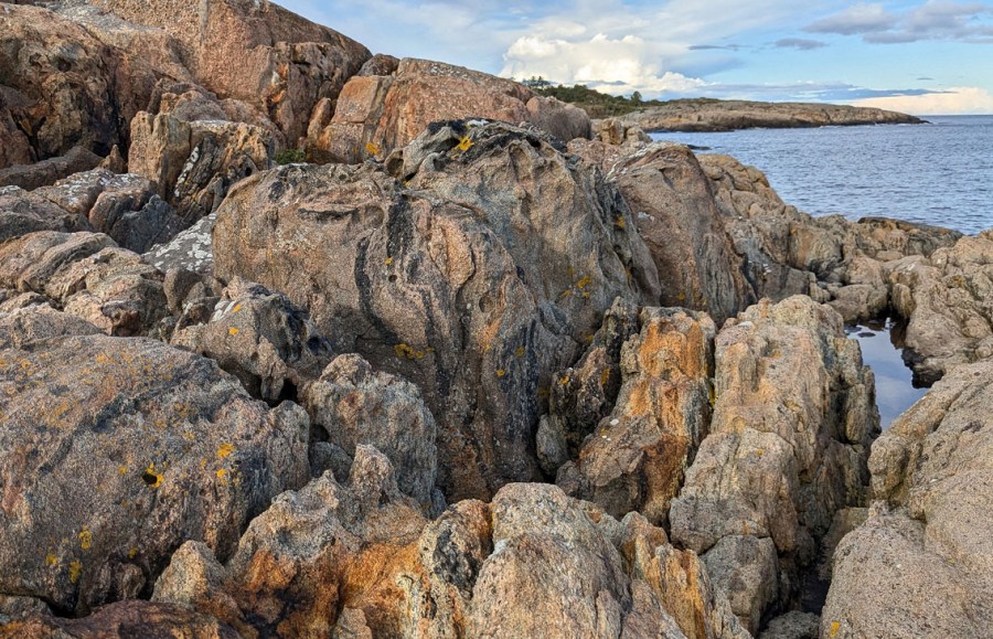 Småskala tafoni hånd i hånd med annen forvitring i en sprekkesone. Ytterkysten av Tromøya. Foto: PS